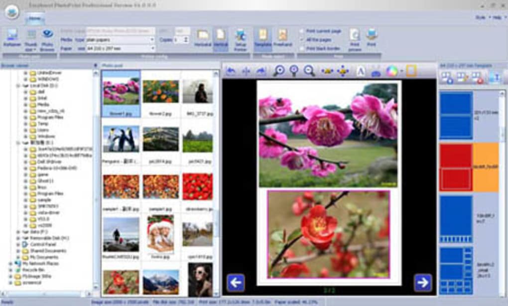 epson easy photo print software update